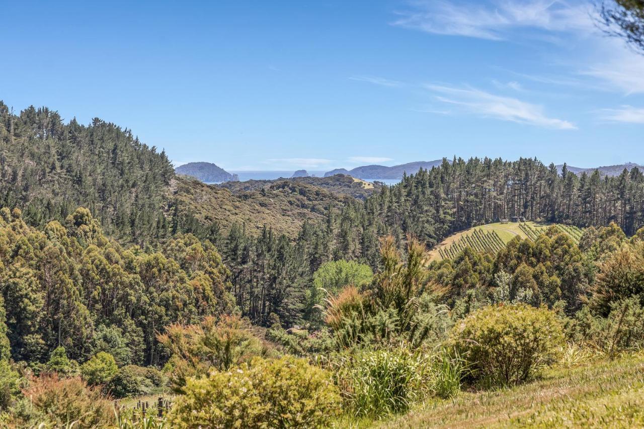 Paroa Bay Chalets - Te Whare Kereru Расселл Экстерьер фото